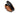 Elevator shoes height increase CALTO Slip-On Brown Leather Dress Shoes - Three Inches - Y3022
