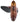 Elevator shoes height increase CALTO Brown Leather Dress Shoes - Three Inches - Y40201